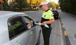 Üç ilçede eş zamanlı asayiş ve trafik denetimler