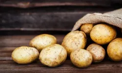 Patates ekim alanlarına itiraz süresi çarşambaya kadar uzatıldı