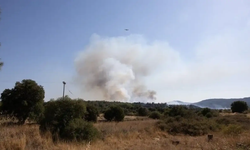Midilli Adası'nda ormanlık alanda yangın çıktı