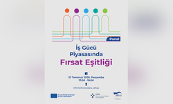 Lefkoşa’da "İş Gücü Piyasasında Fırsat Eşitliği" konulu panel düzenlenecek