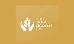 Narenciye dolu zararları ödendi