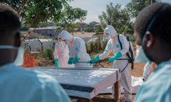 Kongo’da Ebola Vakaları 1926’ya Çıktı