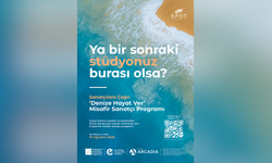 Sanatçılara “Denize Hayat Ver” Çağrısı