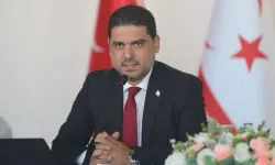 Ahmet Savaşan: Genel seçim tarihi ve karma oy konusunda karar 20 Temmuz sonrası netleşecek