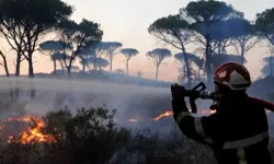 Fransa'da yangın: Yaklaşık 900 hektarlık alan küle döndü
