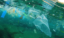 Denizlerin en derin noktalarında mikroplastik bulundu