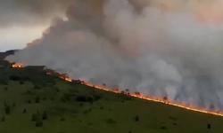 Belçika ve Yunanistan'da orman yangını