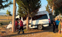 Geçitkale'de Minibüs Servi Ağaçlarına Çarptı: 5 Kişi Yaralandı