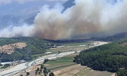 Muğla’da tarım alanında başlayan yangın Kaş’a sıçradı