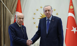Erdoğan, Bahçeli'yi kabul etti