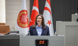İncirli: Meclisi toplantıya çağırıyoruz