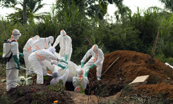 Ebola’da can kaybı 2 bini geçti