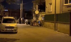 Gaziantep'te 4,5 büyüklüğünde deprem