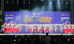 64. Geleneksel Mehmetçik Üzüm Festivali başladı