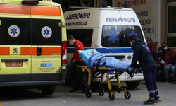 Yunanistan'da bir haftada Batı Nil virüsü nedeniyle 6 kişi öldü, 75 vaka tespit edildi