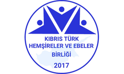 Hemşireler ve Ebeler Birliği, feribot faciası sonrası görev yapan tüm sağlık çalışanlarına teşekkür etti