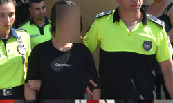 Ehliyetsiz ve alkollü sürücü ölümlü kazayı kabul etti