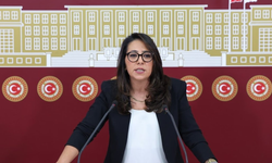 Kadıgil hakkında "Cumhurbaşkanına hakaret" ve "Tehdit" suçlarından soruşturma