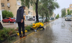LTB: Lefkoşa bölgesinde 17 ağaç, 2 kanalizasyon taşması ve 1 elektrik direği devrildi