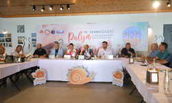 Yeniboğaziçi Pulya Festivali ve Uluslararası Halk Dansları Festivali 14 Ağustos'ta başlayacak