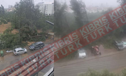 Güzelyurt’ta Fırtına Ağaçları Devirdi