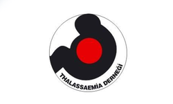Kuzey Kıbrıs Thalassaemia Derneği yaz kampı düzenliyor