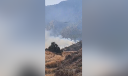 Tirmen’deki yangın kontrol altına alındı