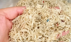 Kestiği tırnakları biriktirdi, ticarete çevirdi