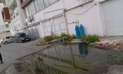 Lefke Çevre ve Ekoloji Derneği, yeniden foseptik birikimi tespit etti