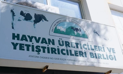 Hayvancılar Birliği'nden 6 ton kaçak et tepkisi: Bu etleri kim getirdi? Kim dağıttı? Kim kazandı?