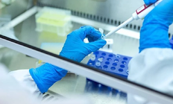 Türkiye'de 16,1 milyon kişiye kanser taraması yapıldı