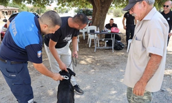 İskele’de köpekler için mikroçip ve ruhsatlandırma işlemleri başladı