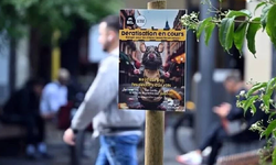 Brüksel'in tarihi ve turistik merkezinde fare sorunu gündemde