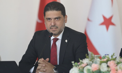 Savaşan'dan YDP açıklamasına tepki