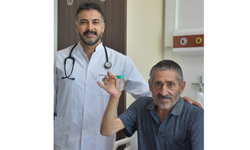 Kitle Değil Sarımsak