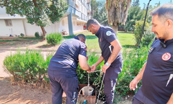 İtfaiyeden Kedi Kurtarma