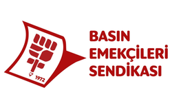 Basın-Sen: Devletin görevi, kadınları öldürülmeden önce korumaktır