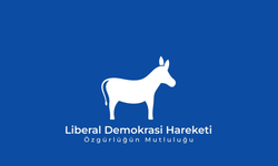 LDH’den kadınlara yönelik şiddetle mücadelede kriz masası kurulması ve yasal düzenleme çağrısı