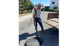 Tatlısu Belediyesi, Batı Nil Virüsü’ne karşı sivrisinekle mücadele çalışmalarını yoğunlaştırdı