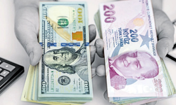 TL, doları ikiye katladı! Dövizde ‘reel kayıp’ büyüyor