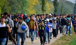 Refakatsiz çocuk sığınmacı sayısında azalma