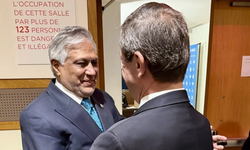 Ertuğruloğlu, Pakistan Dışişleri Bakanı Mohammad Ishaq Dar'la görüştü