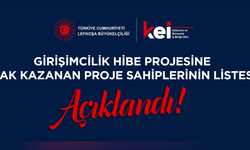 Girişimcilere Hibe Desteği