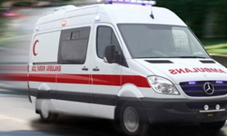 Kediyi Kurtarırken Akıma Kapıldı
