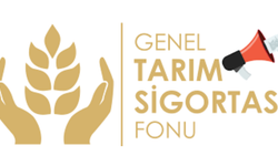 Sonbahar patates beyanları için son tarih 15 Ekim