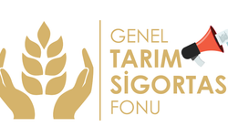 Genel Tarım Sigortası Fonu: “Dolu ve fırtına zararı için son müracaat cuma günü”