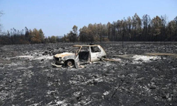 Aude’de 225 Hektar Kül Oldu