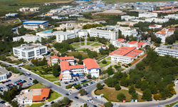 DAÜ’den Yüzde 21 Artış