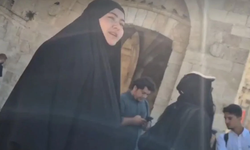 Türklere Sataşınca Cevabı Aldı