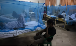 Bangladeş’te Dang Alarmı: 117 Ölü